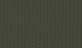 Army Green Canvas