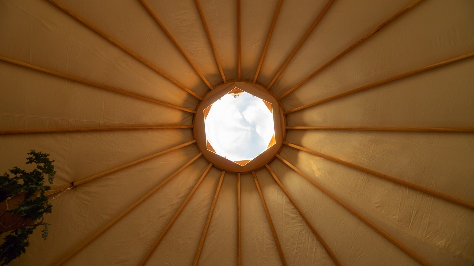 Thuiskantoor & praktijkruimte